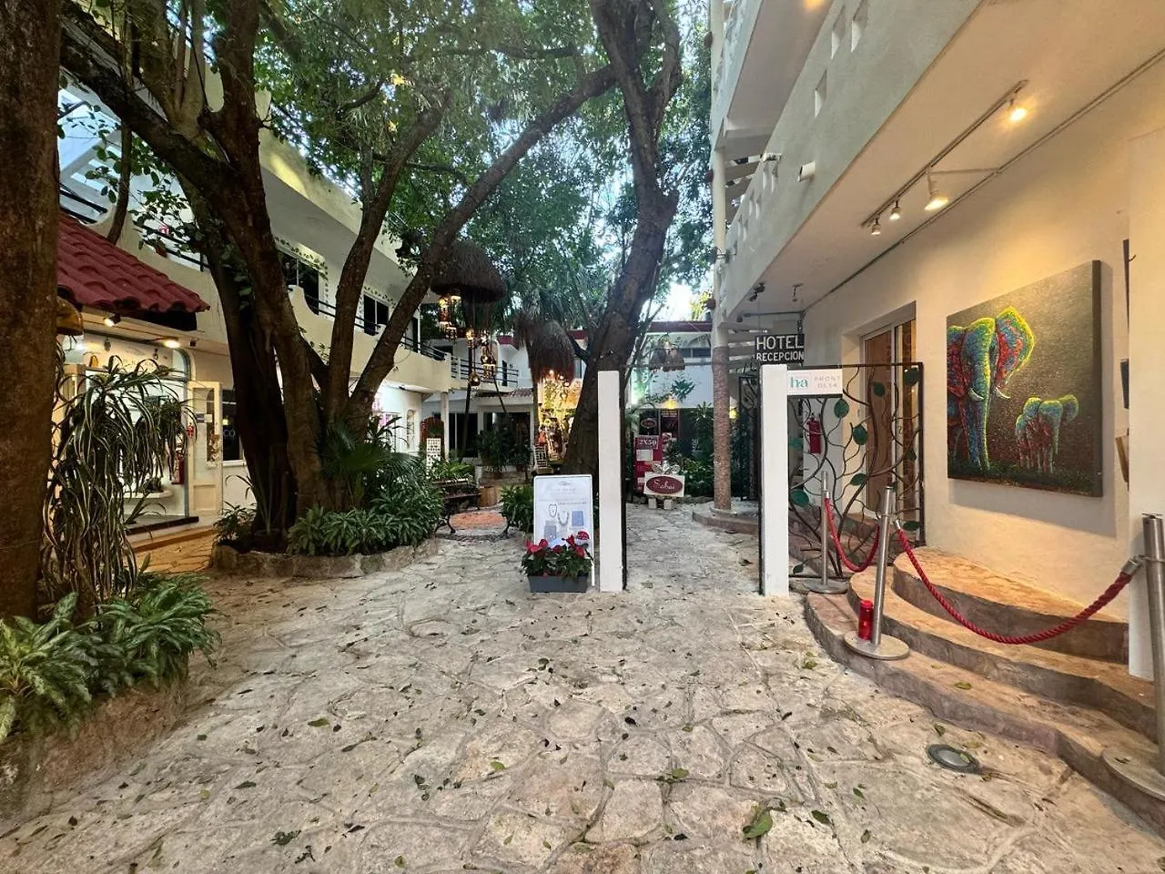 Hotel Ha Garden Gallery - 5Th Avenue Playa del Carmen Mexico
