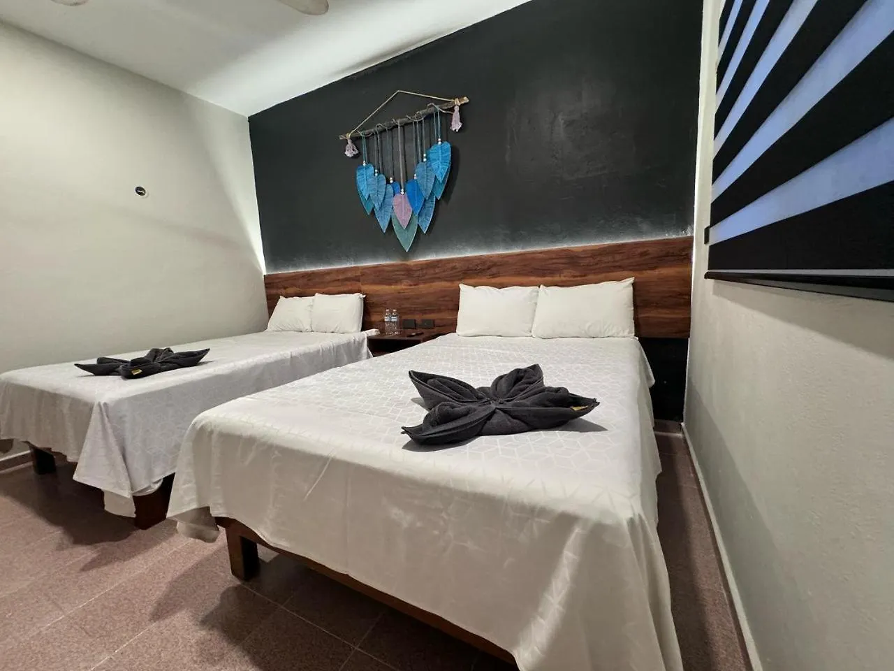 Hotel Ha Garden Gallery - 5Th Avenue Playa del Carmen