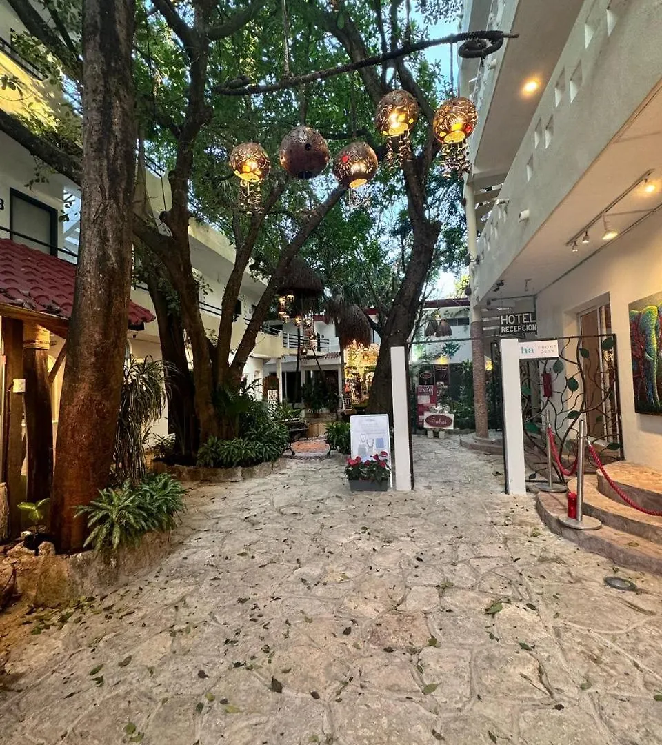 Hotel Ha Garden Gallery - 5Th Avenue Playa del Carmen 0*,