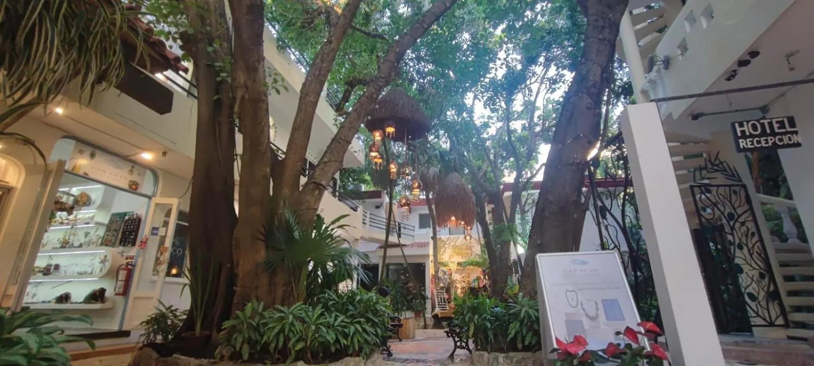 Hotel Ha Garden Gallery - 5Th Avenue Playa del Carmen